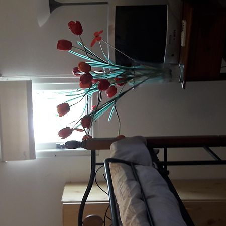 Palmita Hotel Hostel اورانجستاد المظهر الخارجي الصورة