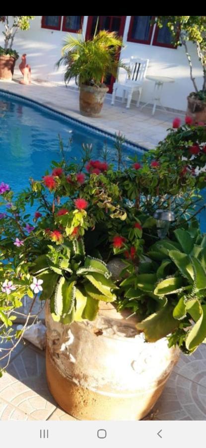 Palmita Hotel Hostel اورانجستاد المظهر الخارجي الصورة