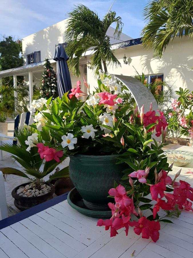 Palmita Hotel Hostel اورانجستاد المظهر الخارجي الصورة
