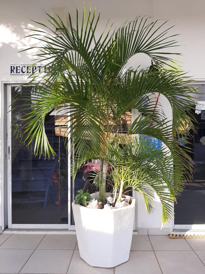 Palmita Hotel Hostel اورانجستاد المظهر الخارجي الصورة