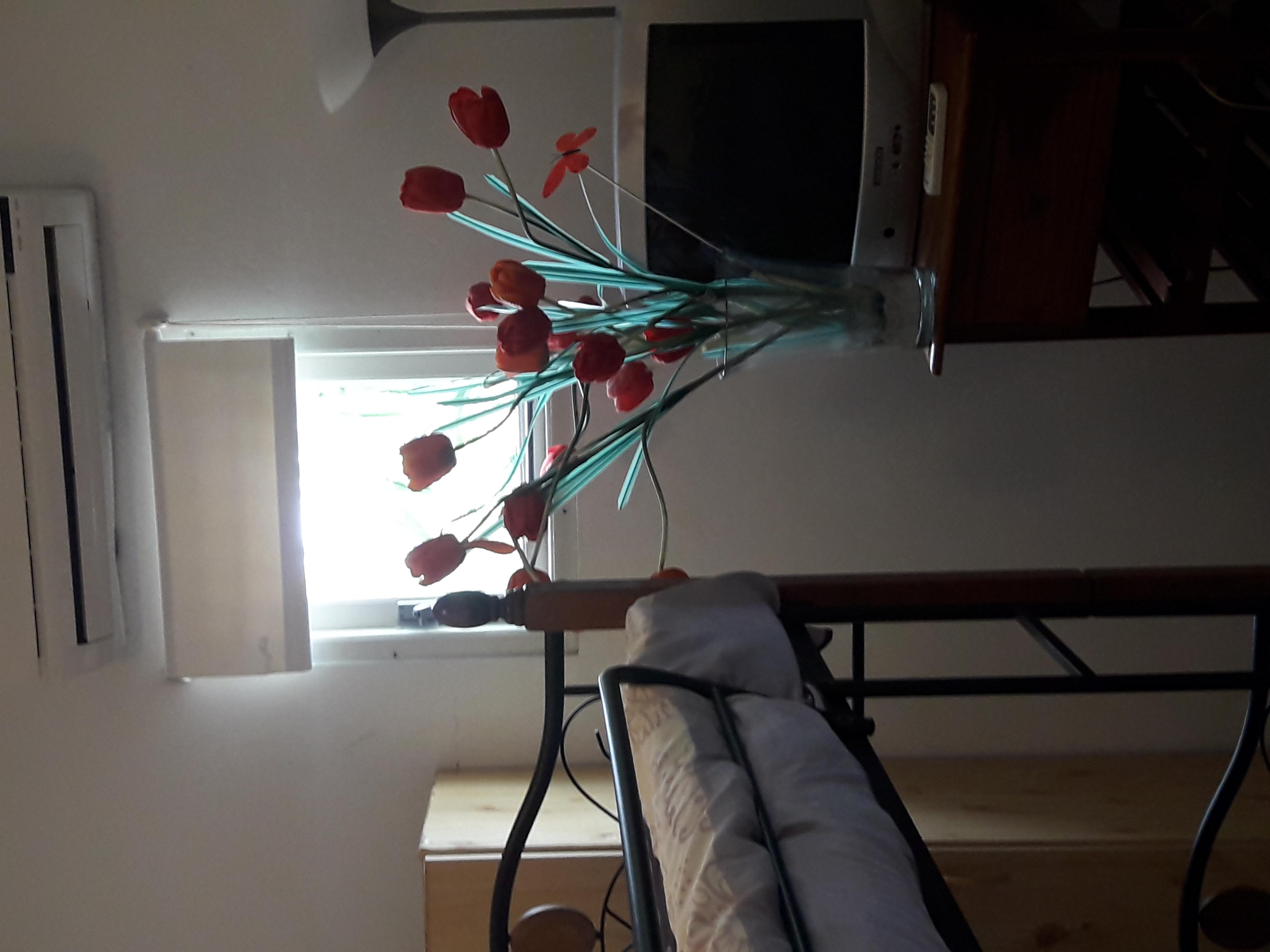 Palmita Hotel Hostel اورانجستاد المظهر الخارجي الصورة