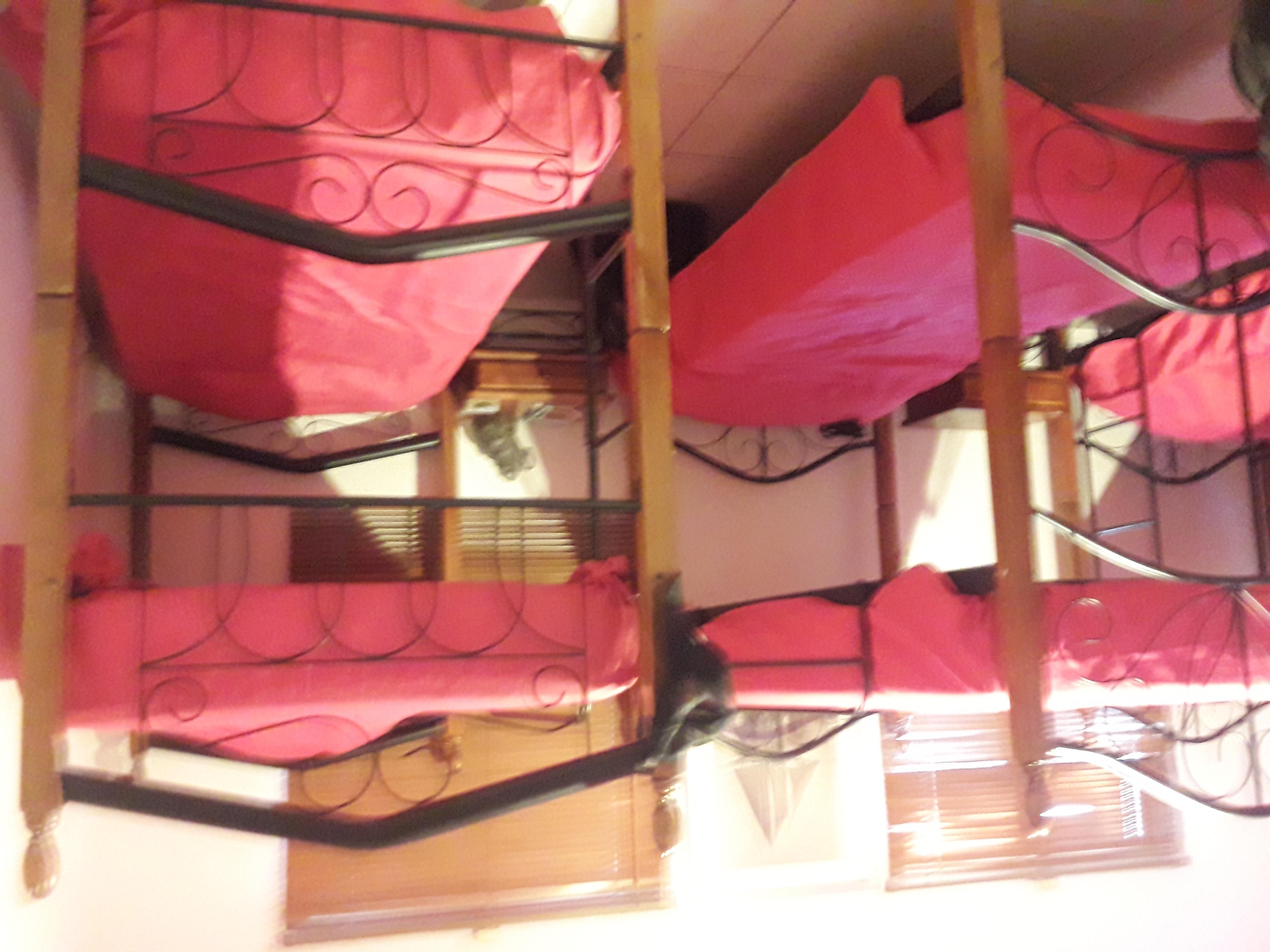 Palmita Hotel Hostel اورانجستاد المظهر الخارجي الصورة