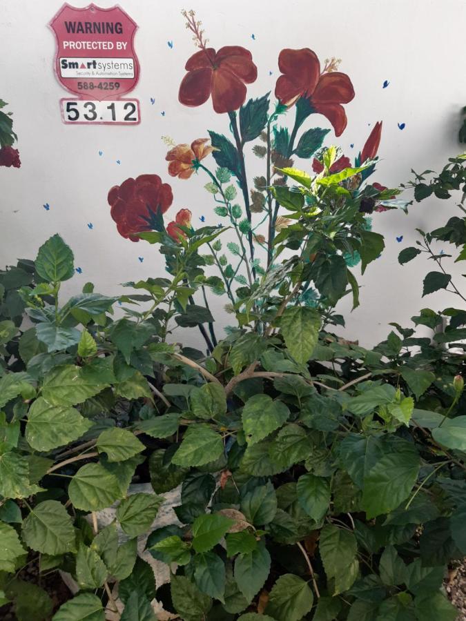 Palmita Hotel Hostel اورانجستاد المظهر الخارجي الصورة
