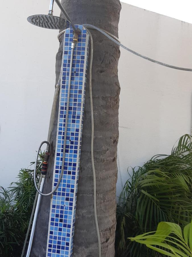 Palmita Hotel Hostel اورانجستاد المظهر الخارجي الصورة